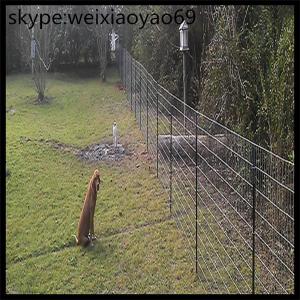 China deer fence/ deer fence height/deer fence netting/ deer skull mount/ deer barrier/ poly deer fence/electric deer fence supplier