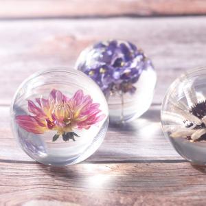 Fashion Crystal Ball Paperweight , Resin Dandelion Paperweight