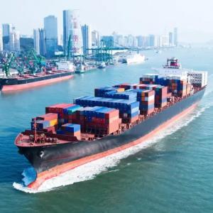 China DDP China Sea Freight Services Global Sea Freight China To Europe America supplier