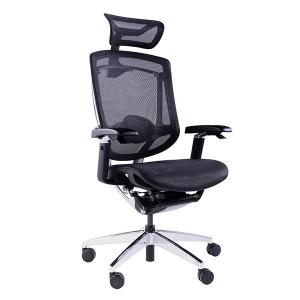 China Marrit 5D Arms Ergonomic Chairs Home Office Mesh Chair Swivel Office Chairs supplier
