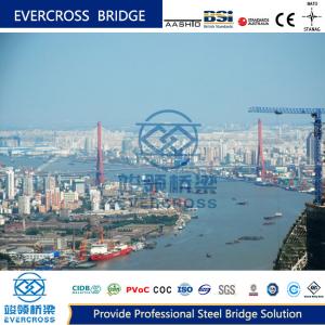 Customizable Cable Stayed Bridge Steel Concrete Bridge For Construction Needs
