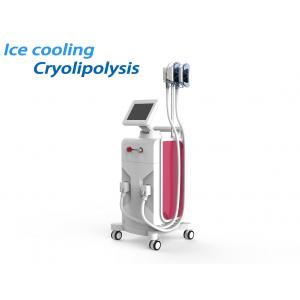 Cool Tech Cryolipolysis Fat Freezing Machine Painless Fat Freeze For Weight Loss