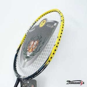                 DMS45 Sports Badminton Rackets Carbon Badminton Racket Set or Backyard or Outdoor Games Manufacturer Supply             