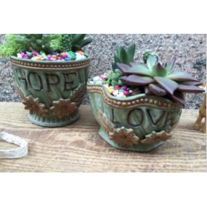 China Succulent Creative English Word Plant Flowerpots supplier