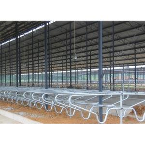 Durable Customized Bedding Cow Milking Stall With Double Row Type