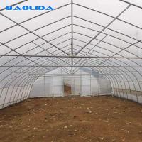China Strong Packing Polytunnel Greenhouse Hobby Commercial Agricultural Support on sale