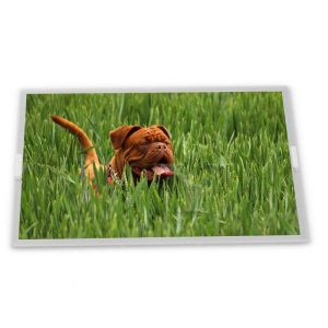 China Módulo de pantalla LCD WLED LQ64D343 de 6.4 pulgadas de alta resolución, módulos LCD adecuados para aplicaciones específicas con resolución de 640*480 supplier