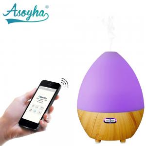 Bluetooth & App Audio Ultrasonic Cool Mist Humidifier Egg Shape With Colorful Lights