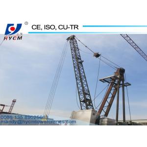 China China 10ton Widely Used Derrick Crane WD100(2420) for Sale supplier