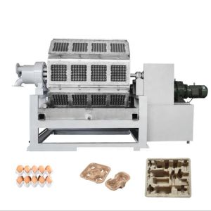 China Automatic Paper Egg Tray Machine Egg Carton Production Line Pulp Moulding Machine Price PLC Controlled wholesale