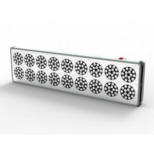 China Apollo 800w High Power Hydroponics Full Spectrum Cree LED Grow Light Panel For hydroponics supplier