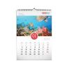 China 12 Months Custom Calendar Printing , Full Color Custom Wall Calendars With Hanger wholesale