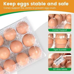 China Count Plastic Egg Cartons, With 60PCS Date Labels, Bulk Cheap Clear Reusable Egg Containers For Fresh Medium Eggs Storage, Suitable For Farms, Families, Markets Display wholesale