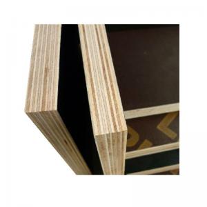 China Marine 18mm Eucalyptus Core Film Faced Shuttering Plywood supplier