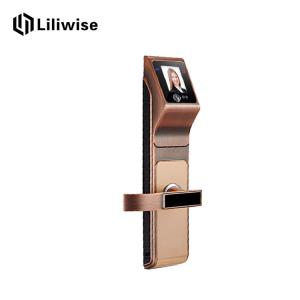 China Home Face Recognition Door Lock Multiplicate Ways To Unlock Operation Easily supplier