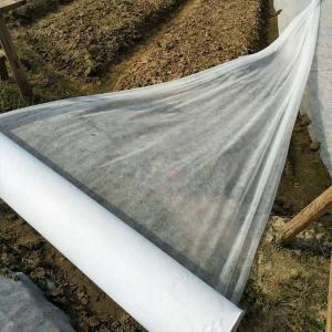 China Recyclable Agriculture Non Woven Fabric 170cm Non Woven Polypropylene Roll Breathable supplier