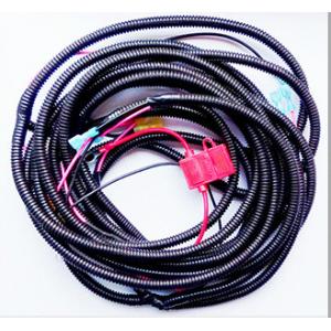 China OEM auto  ECU cable automotive cable assembly with watertight connectors supplier