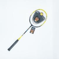 China Daily Use Racket Badminton Economical Graphite Carbon Fiber Racket Indoor Outdoor on sale