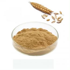 Health Food Organic 100% Natural Food Grade Malt Extract Powder Malt Powder