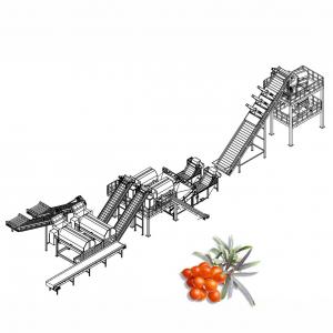 China Juice Processing Machine Juice Manufacturing Plant For Seabuckthorn supplier