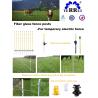 China Heavy Duty 10mm EST112SL Fiberglass Electric Fence Post wholesale