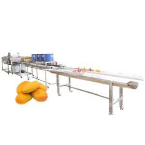 China Hot selling Fruit And Vegetable Washing Machine Cleaner Device by Huafood supplier