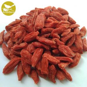 Himalayan Goji Berry Natural Goji Berry Supplier New product organic dried goji berries or Natural Lycium barbarum