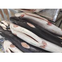 China Gutted Cut 10kg Frozen Blue Shark Steak For Restaurant on sale