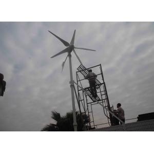 China Renewable Energy Off Grid Hybrid Solar Wind Power System With Low Wind Start Type supplier