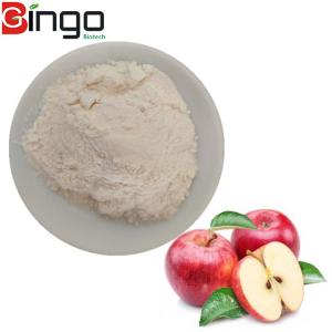 Factory Supply Best quality apple extract apple juice concentrate powder with free sample