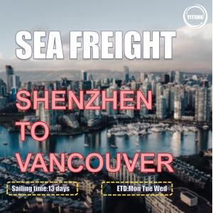 China HMM YML Liner International  Sea Freight From China To Canada Vancouver supplier