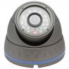 3.6mm Lens(6mm Optional) LED Vandal Proof Dome Camera With 20M IR Working