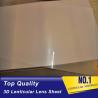 161 Lpi 51X71CM Lenticular Lens Film 0.25mm Pet 3d sheet lenticular lenses