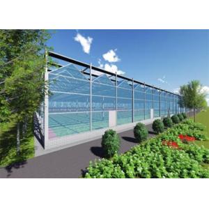 China Single Layer Glass Venlo Type Greenhouse Equipped With Hydroponic Technology supplier