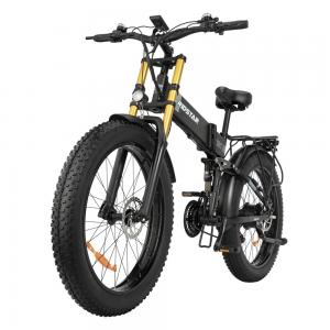 China Ridstar Long Range  26 Inch Electric Bike Lithium Ion Battery Powered supplier
