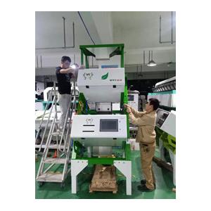 China Two Layers Green Black Tea Sorting Machine Removing Yellow Sticks supplier