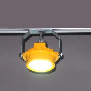 China 2000lum Waterproof LED Canopy Light 20 Watt WF2 Marine Dock Lighting Fixtures supplier