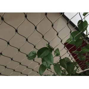 China Stainless Steel Wire Rope Plant Trellis Systems Climbing Net Customized Size supplier