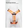 China Colorful Small Dog Backpack Harness Adjustable Pet Harness Backpack With Traction Rope wholesale