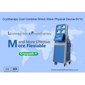 Cryolipolysis Termal Ems Shockwave Machine Pain Relief Beauty 4 Cool Pads