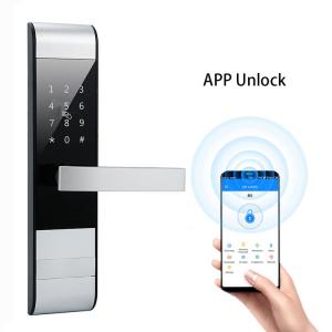 China Apartment BLE Touch Screen Keypad Door Lock M1 Card Smart Wifi Lock supplier