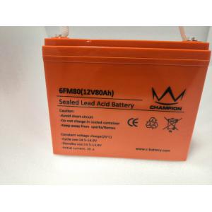 OEM 12v Deep Cycle Marine Battery , Flat Rechargeable Lithium Battery