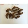 Chinese Fox-Glove Root,Rhizoma rehmanniae,Rehmannia glutinosa Libosch.