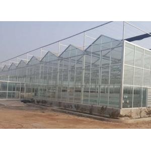 High Grade Galvanized Pipe Greenhouse Glass Covering Commercial