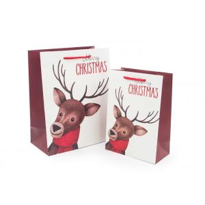 Luxury Funny Christmas Gift Bags Fashionable Appearance Screen Printing