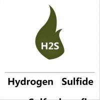China H2s Hydrogen Sulfide Cylinders Gas Industrial Applications Best Price on sale