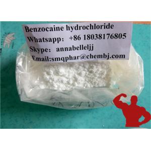 China Анестетик фармацевтического сырцового порошка местный дает наркотики хлоргидрату 23239-88-5 Бензокайне supplier