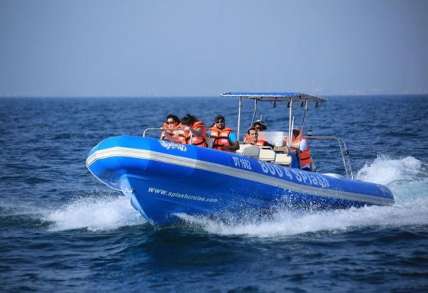 Ferrying парусник Rib960C Hypalon косатки раздувной с местами пассажиров