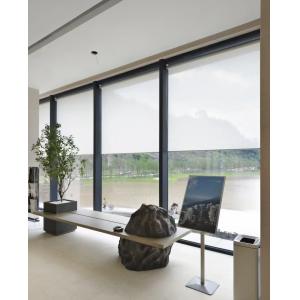 China Automatic Battery Operated Motorized Blackout Zebra Roller Blinds Curtains For Windows Zigbee APP wholesale