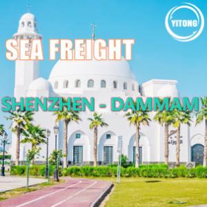 20 Days Worldwide Sea Freight Logistics From Shenzhen To Dammam Saudi Arabia